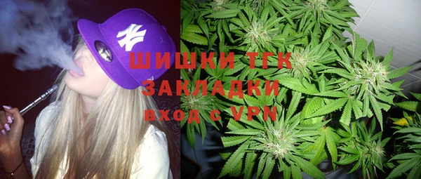 стаф Абинск
