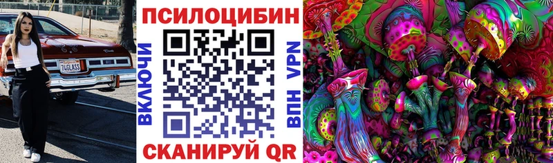 сайты даркнета официальный сайт  Ефремов  Галлюциногенные грибы Psilocybe 